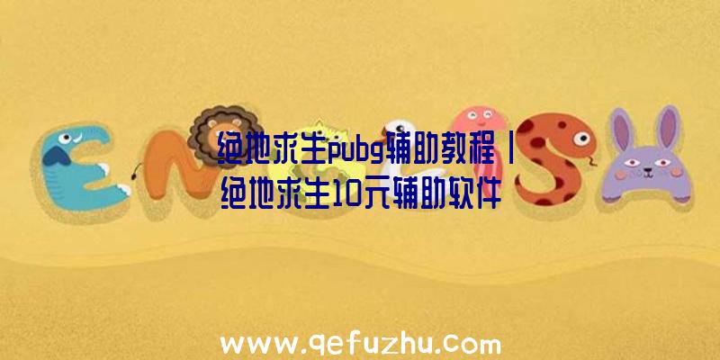 「绝地求生pubg辅助教程」|绝地求生10元辅助软件